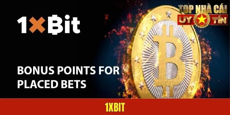 1XBIT - Địa Điểm Đầu Tư Sinh Lời Hấp Dẫn Uy Tín Nhất 2025
