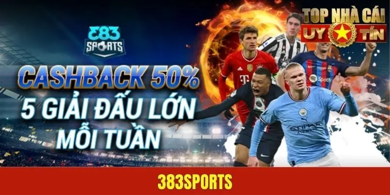 383Sports - Nhà Cái Hàng Đầu Dẫn Đầu Xu Thế Cá Cược 2025