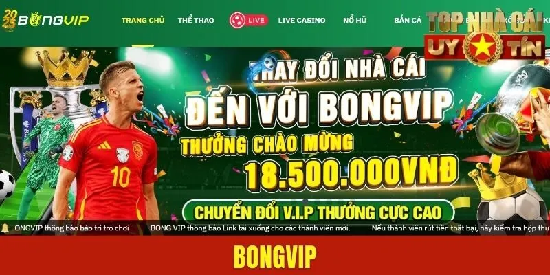 BONGVIP - Trang Phân Phối Kèo Cược Xanh Chín Nhất Châu Á
