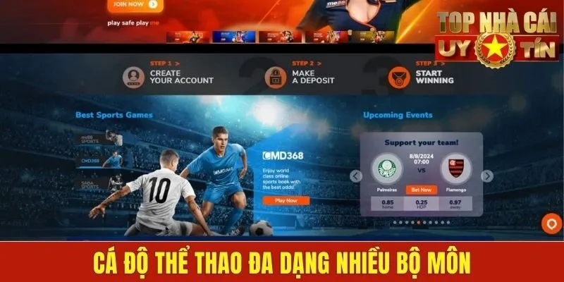 Cá độ thể thao đa dạng nhiều bộ môn