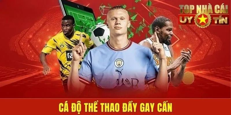 Cá độ thể thao đầy gay cấn