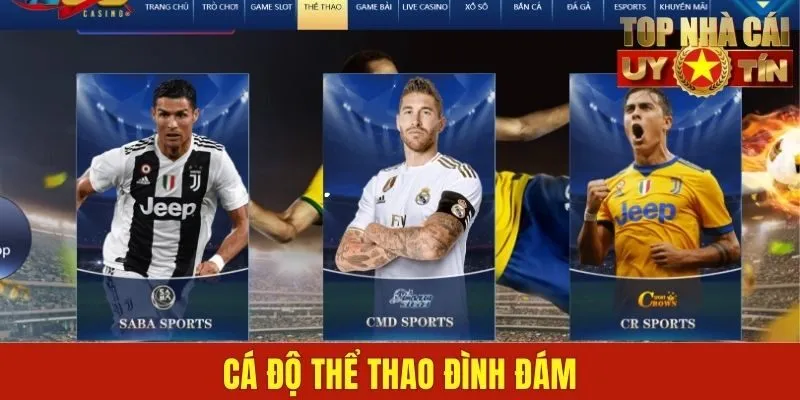 Cá độ thể thao đình đám