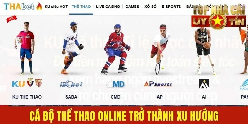 Cá độ thể thao online trở thành xu hướng