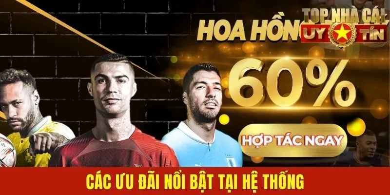 Các ưu đãi nổi bật tại hệ thống