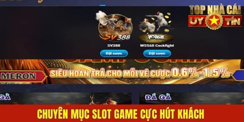 Chuyên mục đá gà là át chủ bài gây nghiện