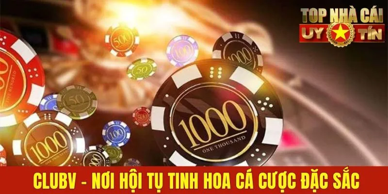Clubv - Nơi Hội Tụ Tinh Hoa Cá Cược Đặc Sắc Trong Năm 2025