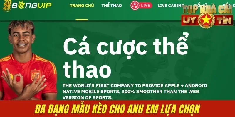 Đa dạng mẫu kèo cho anh em lựa chọn