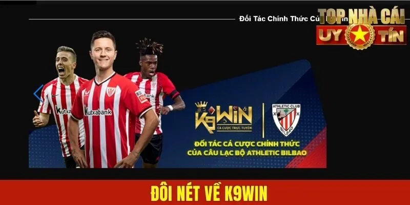 Đôi nét về K9WIN