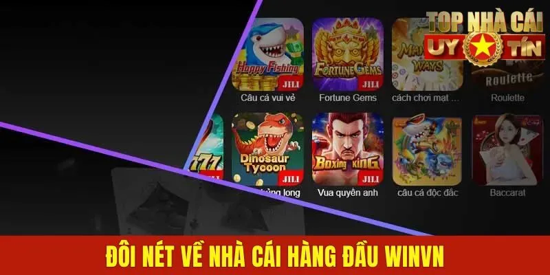 Đôi nét về nhà cái hàng đầu WinVN
