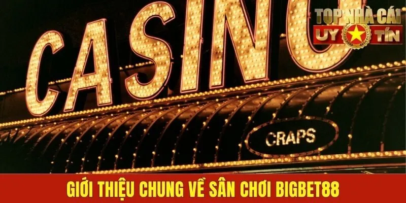Giới thiệu chung về sân chơi Bigbet88