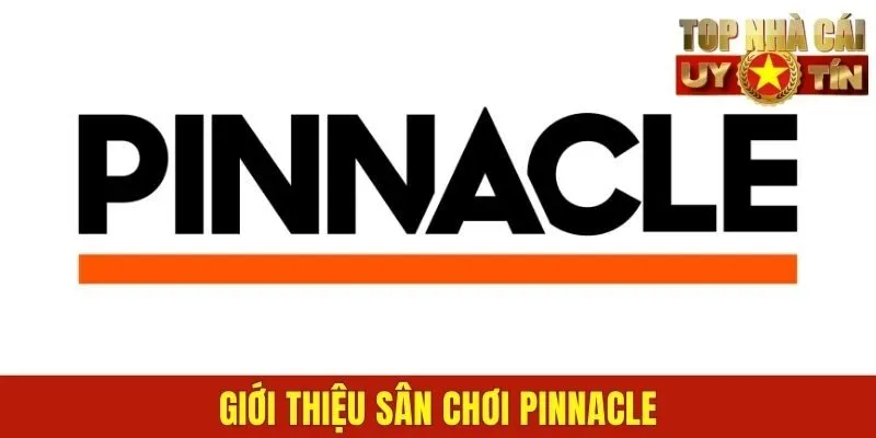 Giới thiệu sân chơi PINNACLE