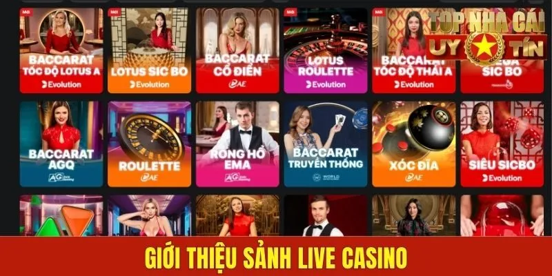 Giới thiệu sảnh Live Casino