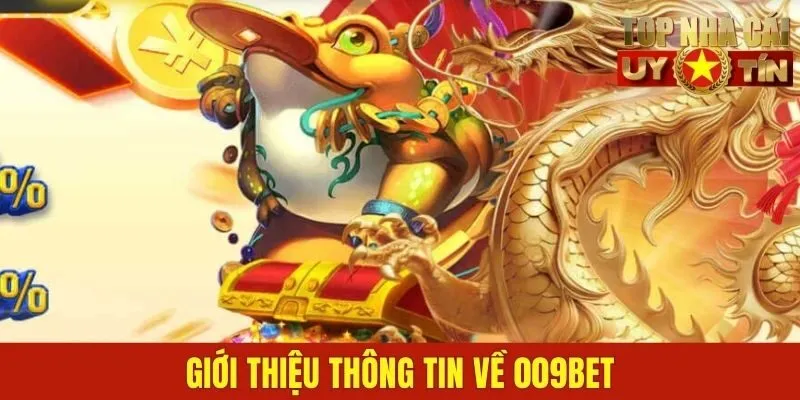 Giới thiệu thông tin sơ lược về 009BET
