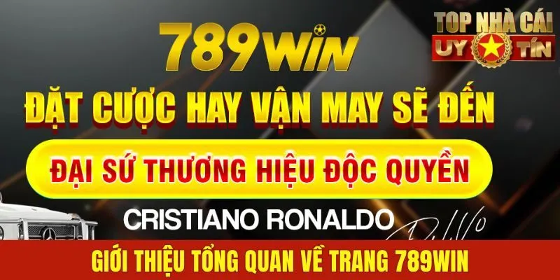 Giới thiệu tổng quan về trang 789win