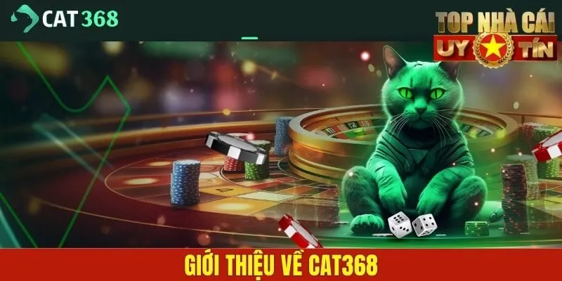 Giới thiệu về Cat368