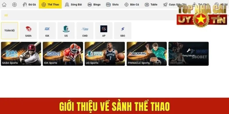 Giới thiệu về sảnh Thể thao