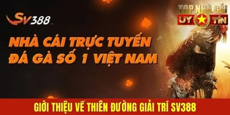 Giới thiệu về thiên đường giải trí SV388