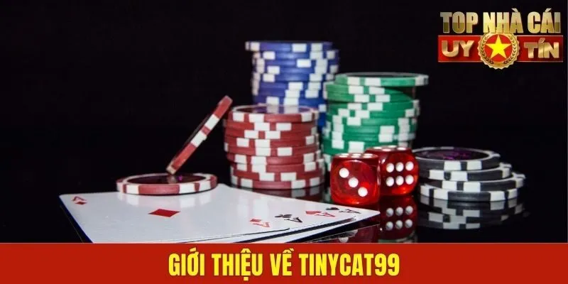 Giới thiệu về Tinycat99