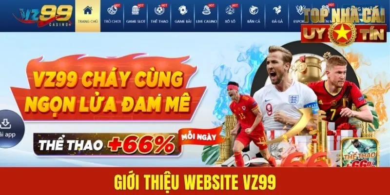 Giới thiệu website VZ99