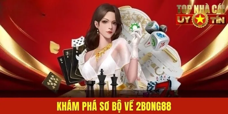 Khám phá sơ bộ về 2BONG88