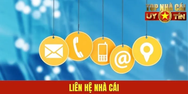 liên hệ nhà cái