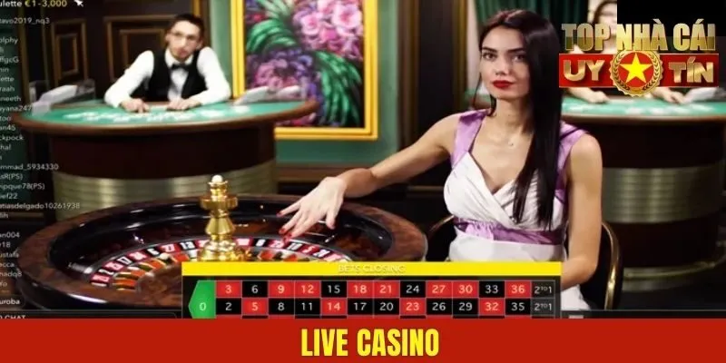 Live casino