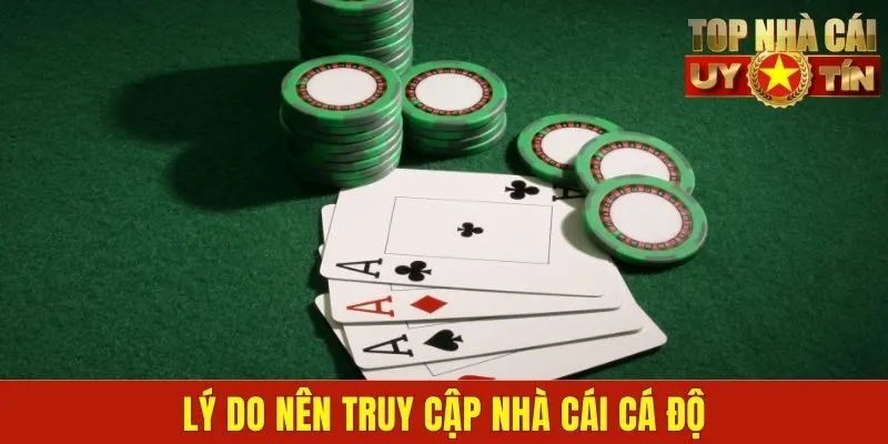 Lý do nên truy cập nhà cái cá độ