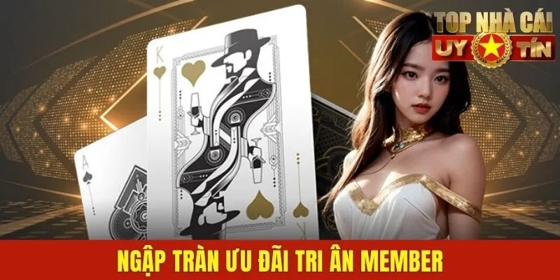 Ngập tràn ưu đãi tri ân member