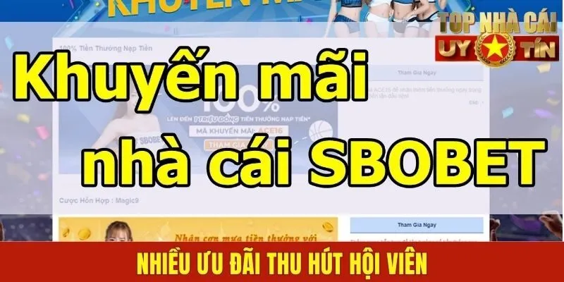 Thông tin về sân chơi TK88