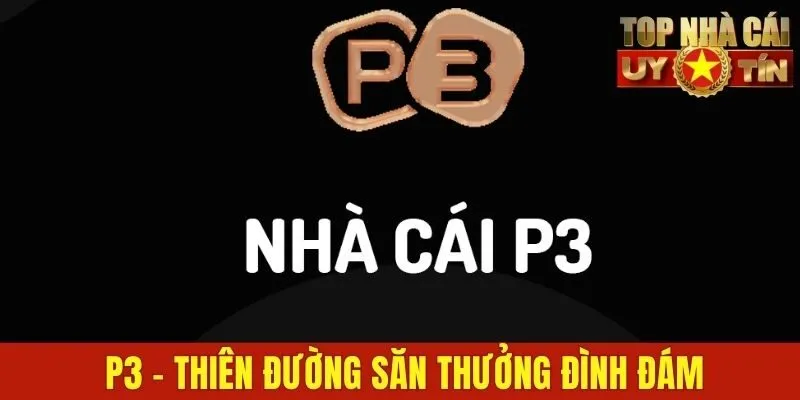 P3 - Thiên Đường Săn Thưởng Đình Đám Tại Thị Trường Việt Nam