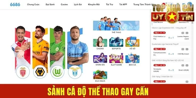 Sảnh cá độ thể thao gay cấn