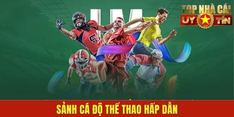 Sảnh cá độ thể thao hấp dẫn