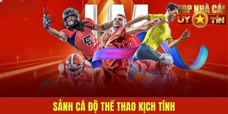 Sảnh cá độ thể thao kịch tính