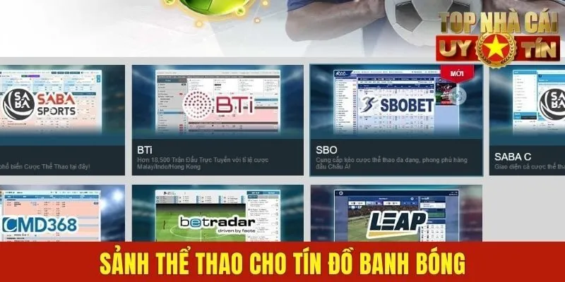Sảnh thể thao cho tín đồ banh bóng