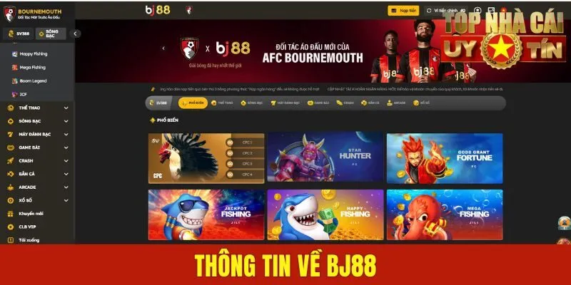 Thông tin về BJ88
