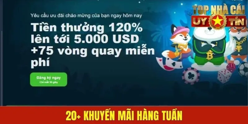 Tìm hiểu 20+ khuyến mãi hàng tuần