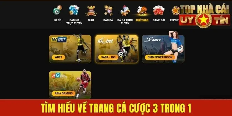 Tìm hiểu về trang cá cược 3 trong 1