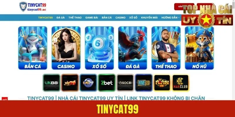 Tinycat99 - Nhà Cái Xanh Chín Trực Tuyến Hấp Dẫn 2025