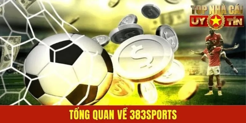 Tổng quan về 383Sports