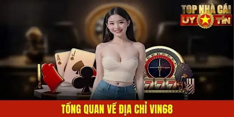 Tổng quan về địa chỉ VIN68