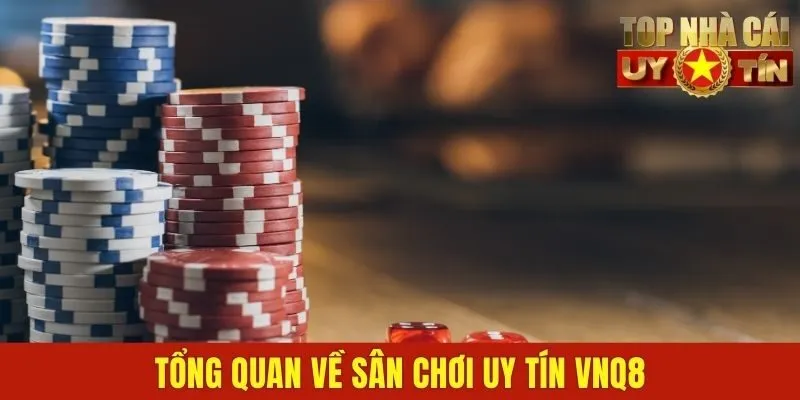 Tổng quan về sân chơi uy tín Vnq8