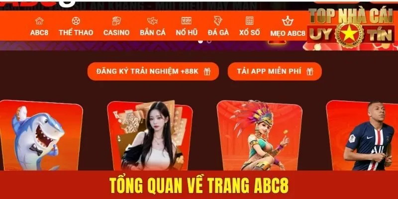 Tổng quan về trang ABC8