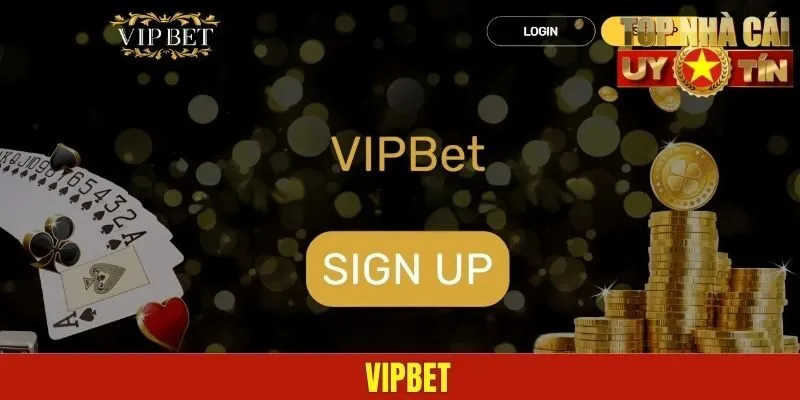 VIPBET – Giải Trí Đỉnh Nóc Với Sân Sau Thương Hiệu Lớn
