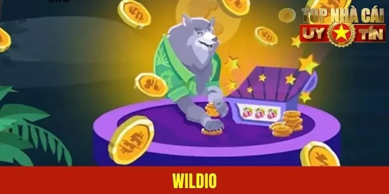 Đánh Giá Wildio - Có Xứng Đáng Để Tham Gia Hay Không?