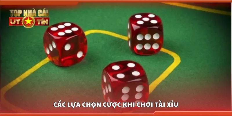Các lựa chọn cược khi chơi tài xỉu
