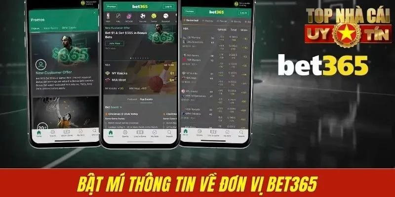 Bật mí thông tin về đơn vị Bet365