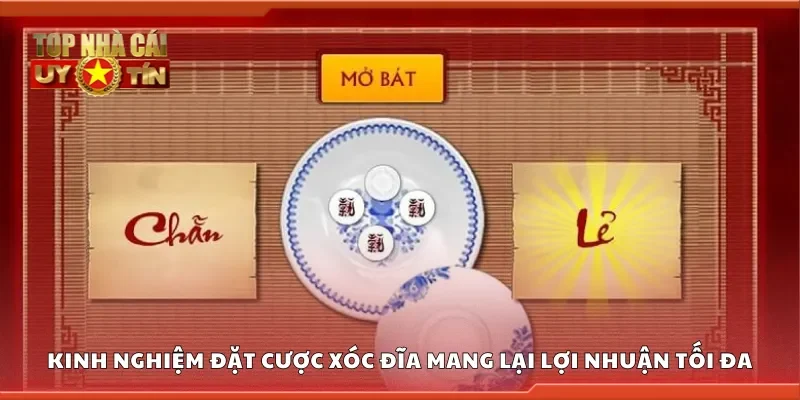 Kinh nghiệm đặt cược xóc đĩa mang lại lợi nhuận tối đa