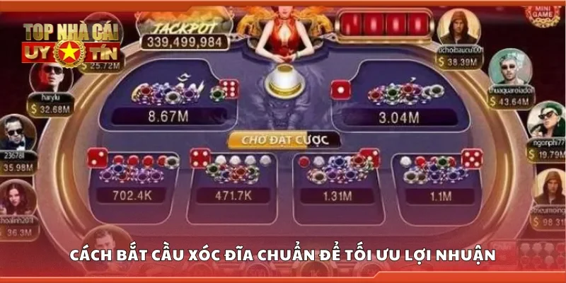 Cách bắt cầu xóc đĩa chuẩn để tối ưu lợi nhuận