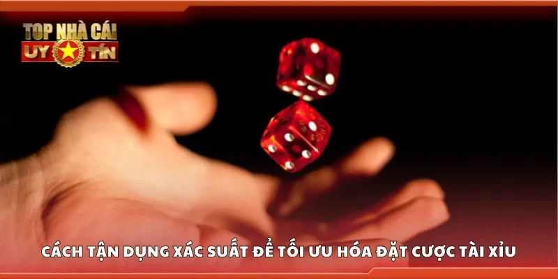 Cách tận dụng xác suất để tối ưu hóa đặt cược tài xỉu
