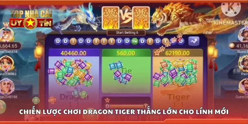 Các chiến lược chơi Dragon Tiger thắng lớn cho lính mới